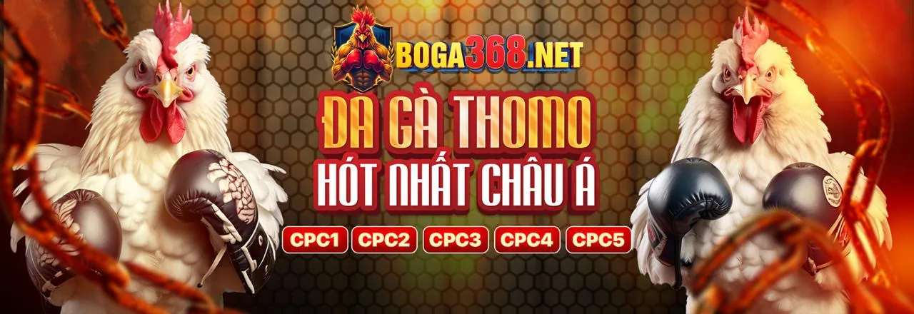 Dịch vụ chăm sóc khách hàng Vbet